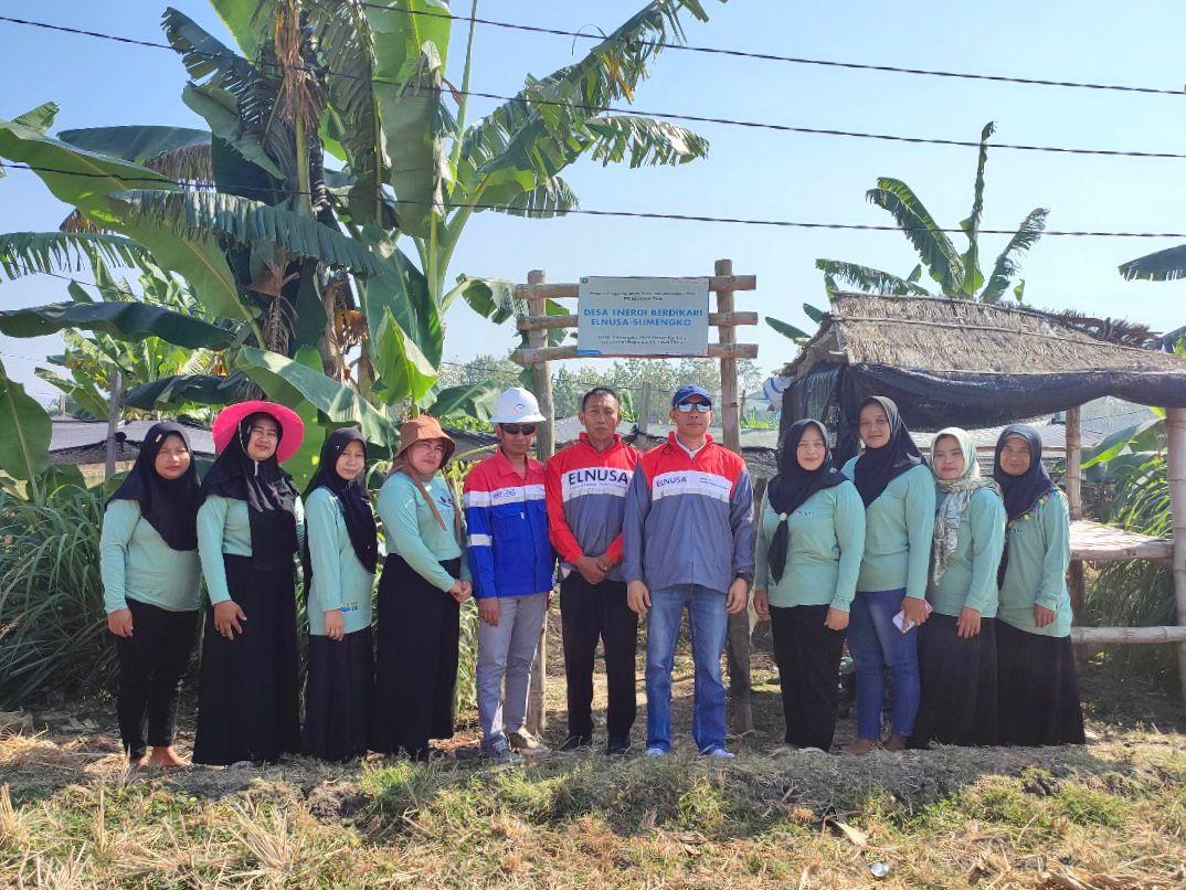 Komitmen Elnusa Dukung Kemandirian Ekonomi Desa Energi Berdikari Sumengko