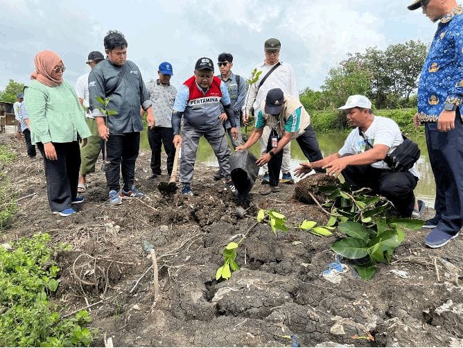 Pohon untuk Anak Cucu: Sinergi Hijau PHE ONWJ dan Warga Desa Cemara Kulon