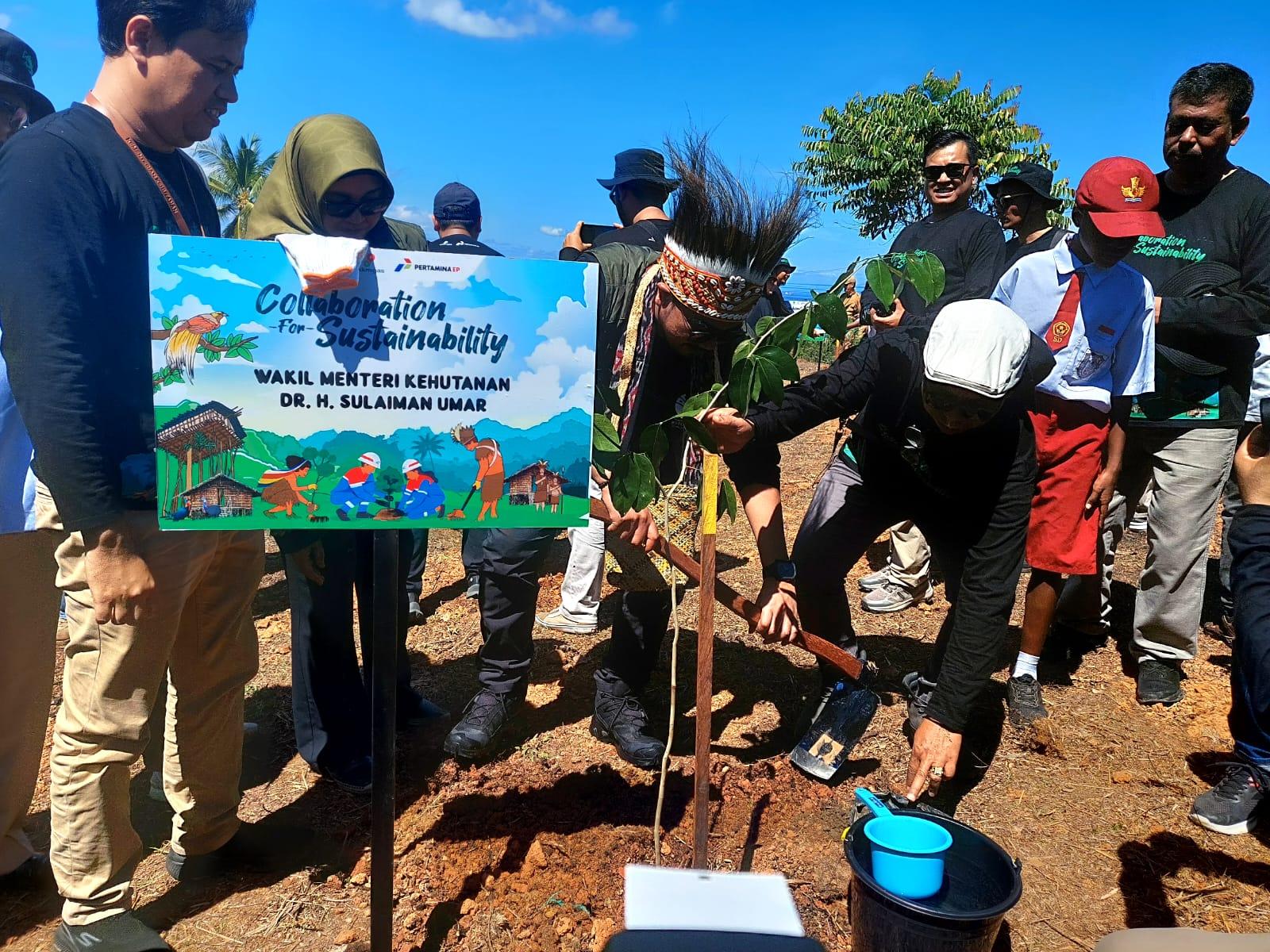 Wujud Kolaborasi Keberlanjutan, Pertamina EP Papua Field Tanam 110 Ribu Pohon di Sorong