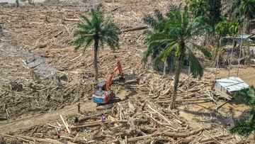 Bareskrim Turun Tangan! Usut Tuntas Kayu Gelondongan Pemicu Banjir Bandang di Aceh