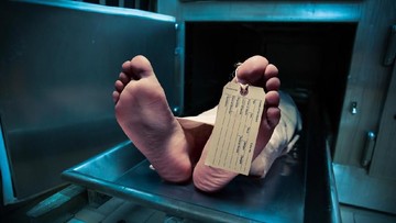 Tragis! Diduga Alami Microsleep, Mahasiswi di Bandung Meninggal Dunia Usai Tabrak Pohon