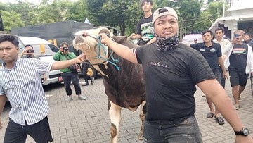 Ratusan Jagal Sapi Surabaya Lumpuhkan Balai Kota, Tolak Keras Rencana Relokasi RPH Pegirian
