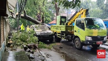 Cuaca Ekstrem Terjang Tangerang: Banjir 1 Meter di Kosambi dan Pohon Tumbang Timpa Mobil di Cikokol