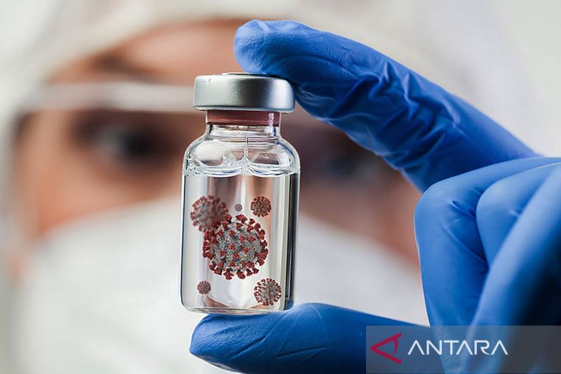 Mengenal Virus Nipah: Ancaman Pandemi Baru dari Satwa Liar yang Patut Diwaspadai