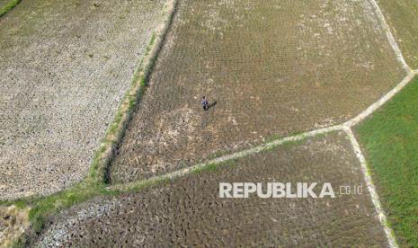 Kementan Siaga Hadapi El Nino Ekstrem dengan 80 Ribu Pompa Air