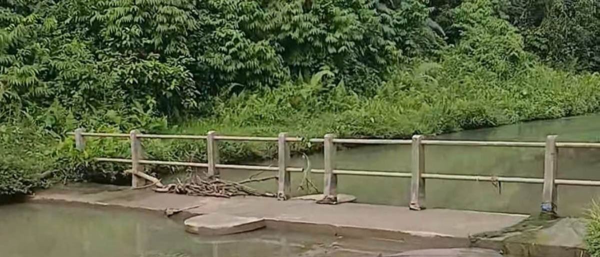 600 Hektare Sawah di Nagan Raya Alami Kekeringan