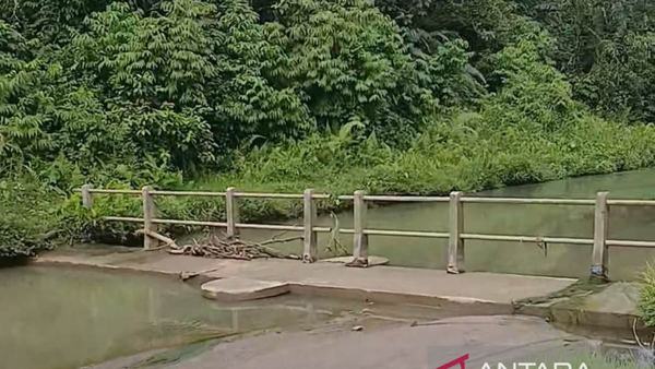 600 Hektare Sawah di Nagan Raya Alami Kekeringan