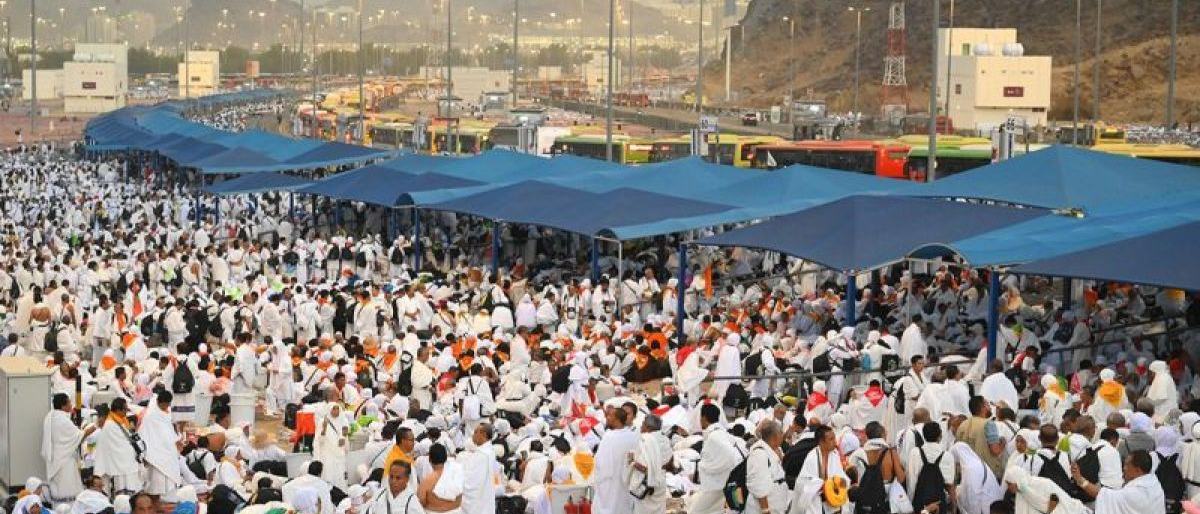 Asrorun Niam Ajak Jemaah Haji Optimalkan Ibadah Saat Wukuf