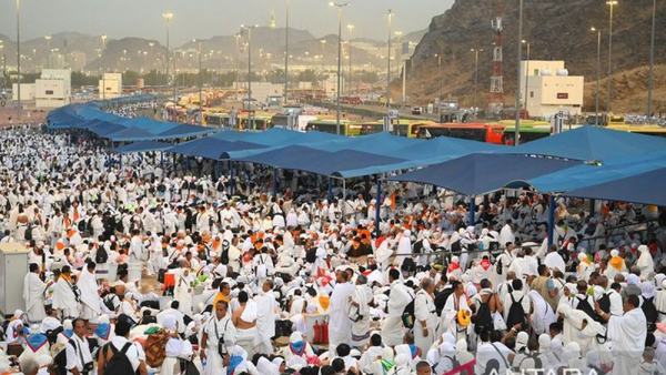 Asrorun Niam Ajak Jemaah Haji Optimalkan Ibadah Saat Wukuf