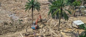 bareskrim-mulai-usut-kasus-kayu-gelondongan-penyebab-banjir-di-aceh-1767731403.jpg