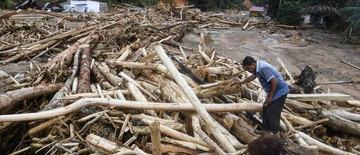 bareskrim-tetapkan-tersangka-perorangan-di-kasus-kayu-gelondongan-1767688247.jpg