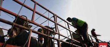 demo-ratusan-jagal-bawa-sapi-geruduk-dprd-tuntut-walkot-surabaya-1768262484.jpg