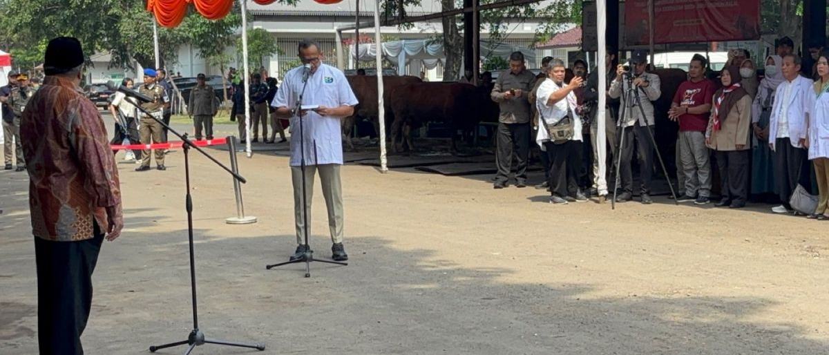 DKI Gandeng Daerah Pemasok Pastikan Kesehatan Hewan Kurban