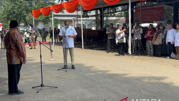 DKI Gandeng Daerah Pemasok Pastikan Kesehatan Hewan Kurban