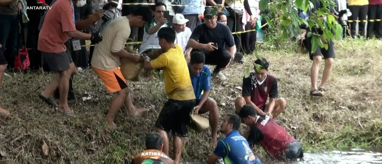 Festival Isen Mulang Hidupkan Tradisi Mangaruhi di Palangka Raya
