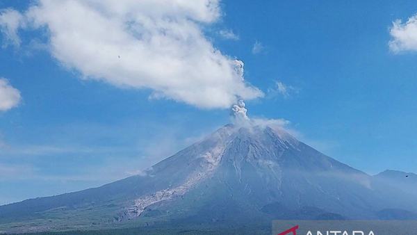 Gunung Semeru Erupsi Tujuh Kali, Kolom Abu Capai 1.000 Meter