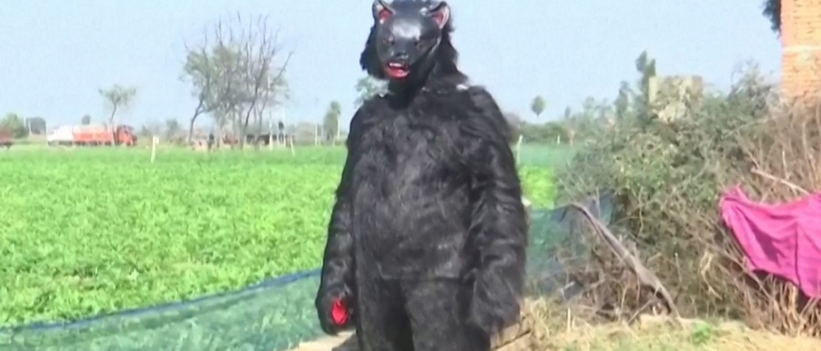 indian-farmers-dress-up-as-bears-to-protect-crops-from-monkeys-1773690072.jpg