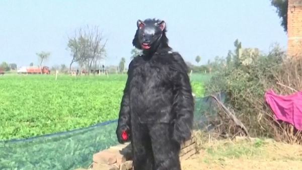indian-farmers-dress-up-as-bears-to-protect-crops-from-monkeys-1773690072.jpg