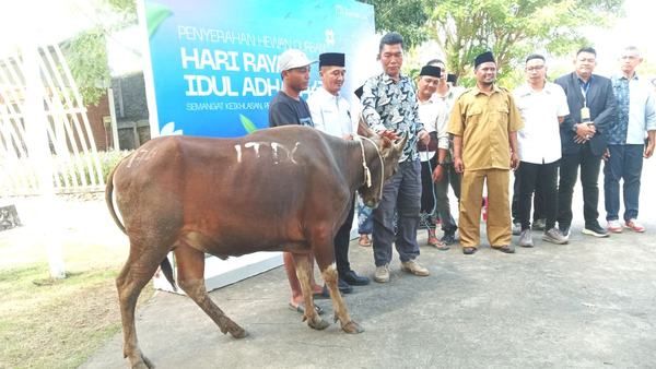 ITDC Salurkan Puluhan Hewan Kurban di Kawasan Mandalika