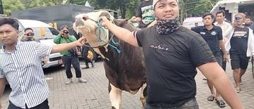 jagal-sapi-di-surabaya-kembali-demo-mogok-kerja-tolak-relokasi-rph-1768320572.jpg