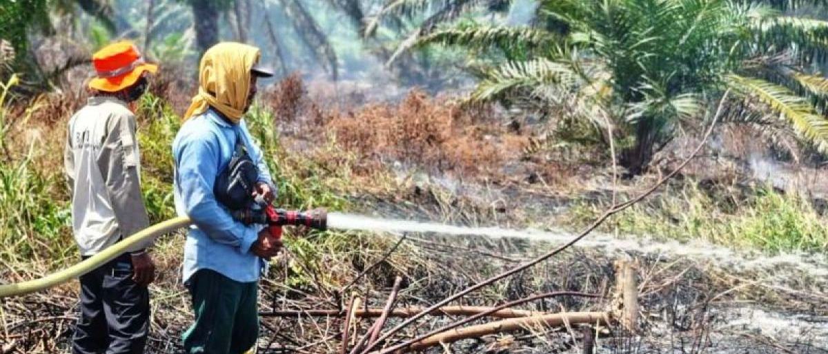 Kebakaran Lahan Gambut di Nagan Raya Meluas 60 Hektare