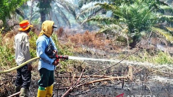 Kebakaran Lahan Gambut di Nagan Raya Meluas 60 Hektare