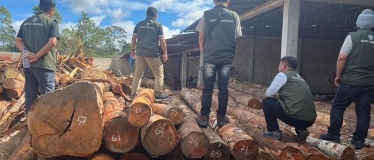 Kemenhut Amankan 219 Batang Kayu Ilegal di Humbang Hasundutan