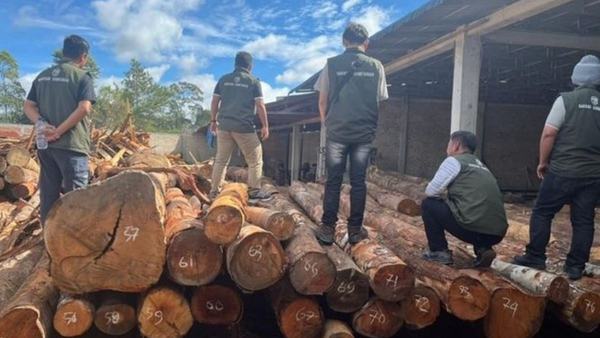 Kemenhut Amankan 219 Batang Kayu Ilegal di Humbang Hasundutan