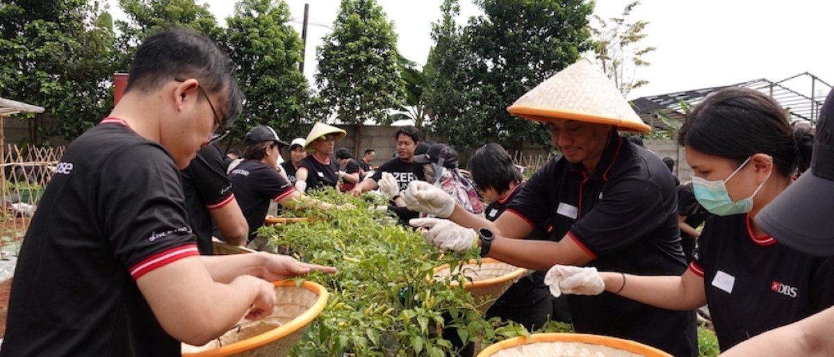 Laba Bersih Bank DBS Indonesia Tumbuh 15,8 Persen pada 2025
