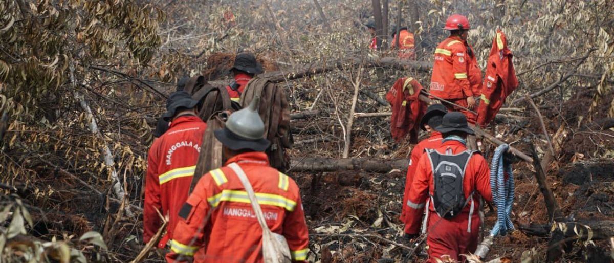 Manggala Agni Padamkan Kebakaran Lahan 108 Hektare di Bengkalis