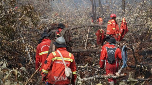 Manggala Agni Padamkan Kebakaran Lahan 108 Hektare di Bengkalis
