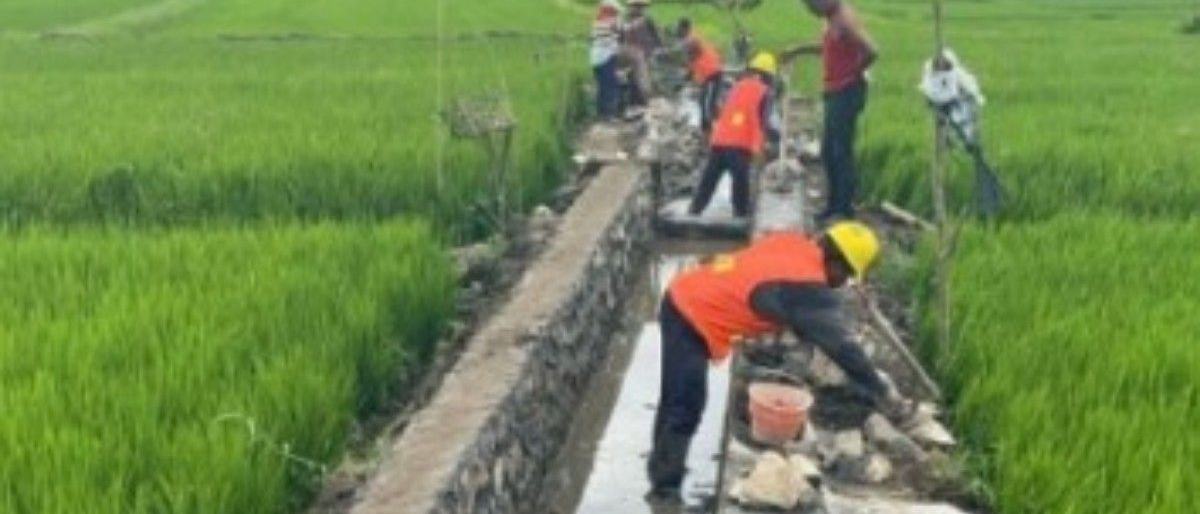 Menteri PU: Kegiatan P3TGAI jaga keberlanjutan sistem subak di Bali