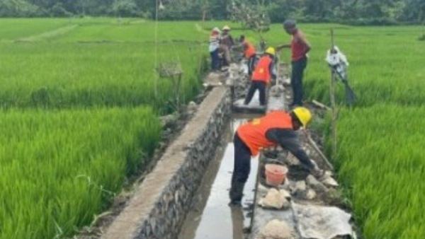 Menteri PU: Kegiatan P3TGAI jaga keberlanjutan sistem subak di Bali