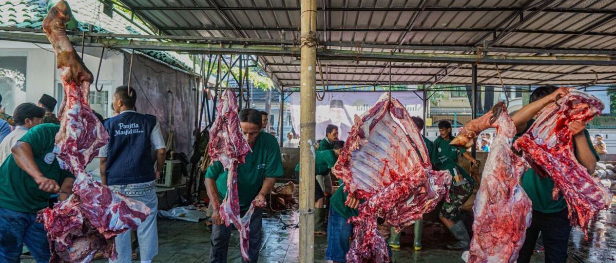 Pemanfaatan Daging Kurban untuk Tekan Angka Stunting Nasional