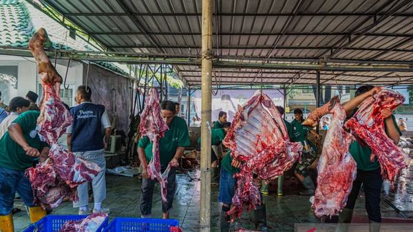 Pemanfaatan Daging Kurban untuk Tekan Angka Stunting Nasional