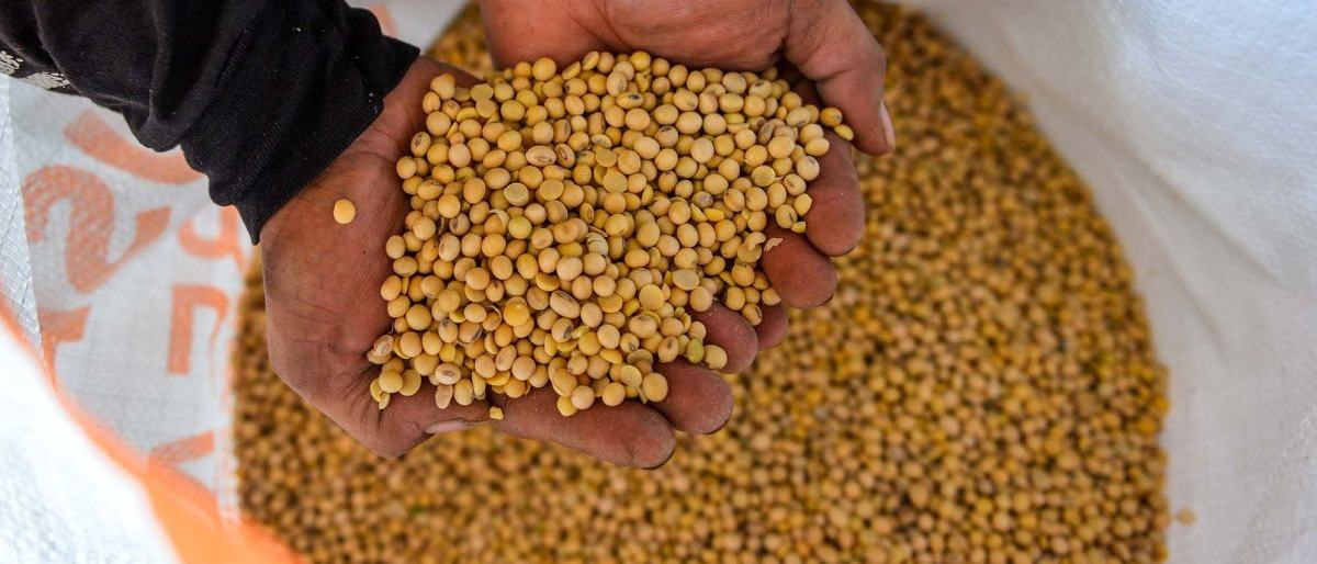 Pemerintah Salurkan Subsidi Kedelai Jaga Stabilitas Harga Perajin