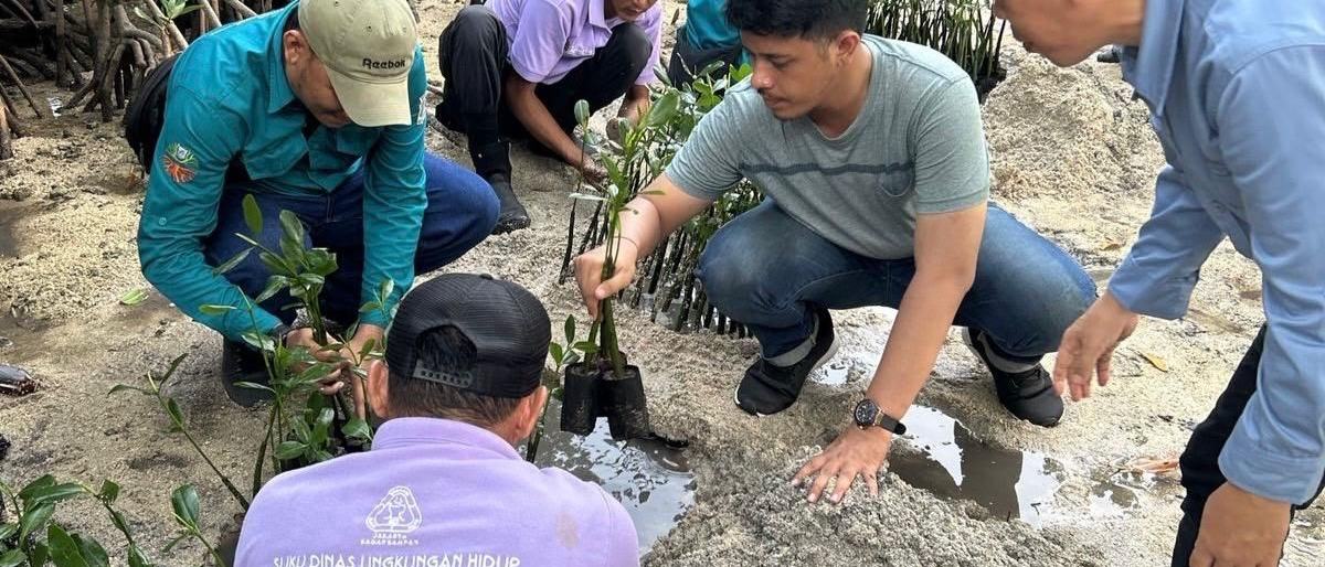 Pemkab Kepulauan Seribu Tanam Mangrove dan Lepas Tukik