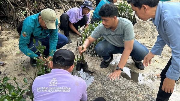 Pemkab Kepulauan Seribu Tanam Mangrove dan Lepas Tukik