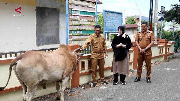 Pemko Banda Aceh Salurkan Puluhan Hewan Kurban