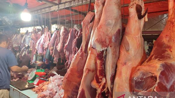 Pemkot Bengkulu Wajibkan SKKH untuk Hewan Kurban Idul Adha