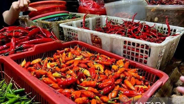 Pemprov DKI Pantau Ketat Harga Pangan Menjelang Idul Adha