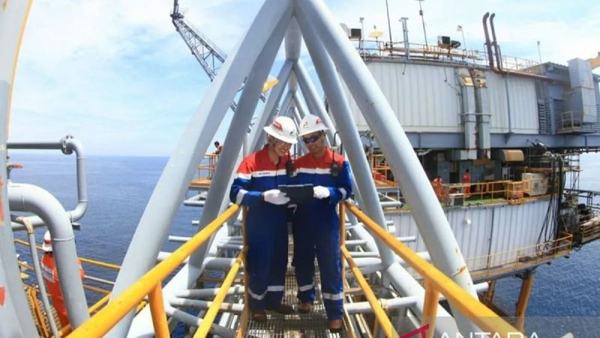PHE Terapkan Dual Growth Strategy Jaga Ketahanan Energi Nasional