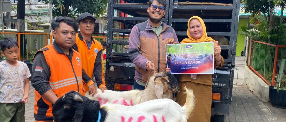 PT KCN Salurkan 33 Hewan Kurban di Cilincing dan Marunda