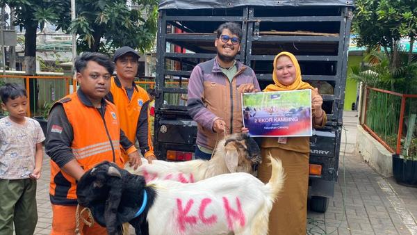 PT KCN Salurkan 33 Hewan Kurban di Cilincing dan Marunda