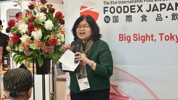 RI Tawarkan Proyek Hilirisasi dan Giant Sea Wall ke Jepang