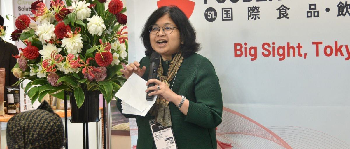 RI Tawarkan Proyek Hilirisasi dan Giant Sea Wall ke Jepang