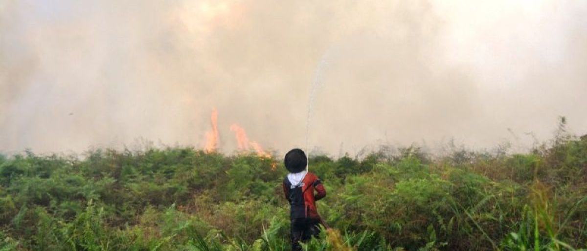 Satelit HAkA Deteksi 280 Hektare Lahan Terbakar di Aceh Barat