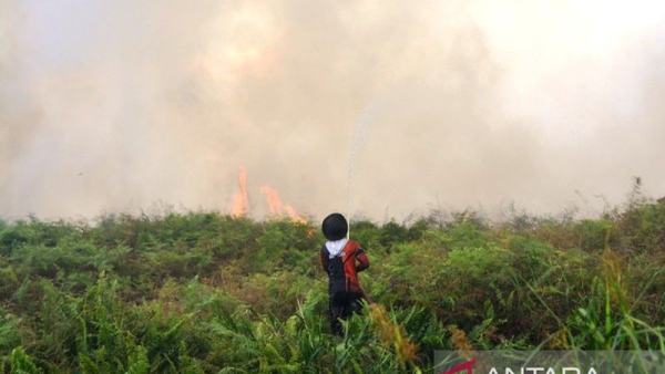 Satelit HAkA Deteksi 280 Hektare Lahan Terbakar di Aceh Barat