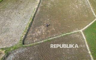 siaga-el-nino-ekstrem-tahun-ini-kementan-bakal-optimalkan-80-ribu-pompa-air-1775300447.jpg