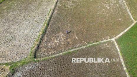 siaga-el-nino-ekstrem-tahun-ini-kementan-bakal-optimalkan-80-ribu-pompa-air-1775300447.jpg